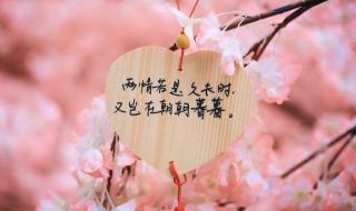 不要用我的爱伤害我