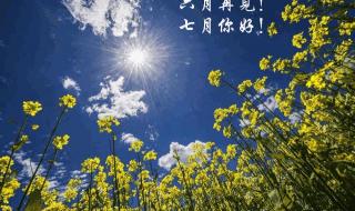 六月再见七月你好图片
