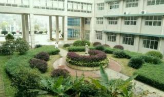 湖南中医药高等专科
