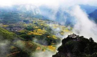油菜花发朋友圈配文字
