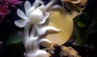 用手机灯光怎么验玉真假