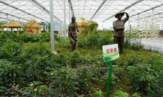 广西专业技术人员网络培训