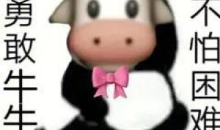 勇敢牛牛不怕困难表情原图