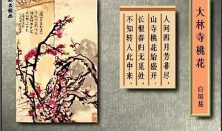 大林寺桃花古诗的意思翻译