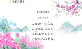 大林寺桃花古诗的意思翻译